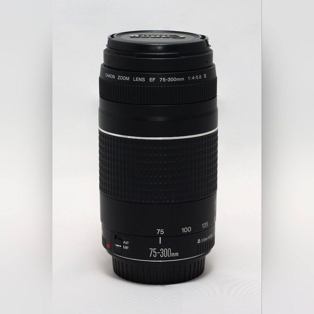 Canon EFS 75-300mm lens